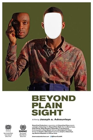 Beyond Plain Sight poszter