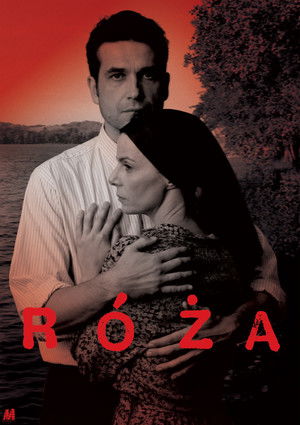 Róża poszter
