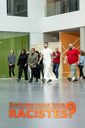 Sommes-nous tous racistes ? poszter