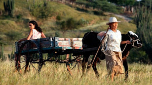 Dos mujeres y una vaca háttérkép