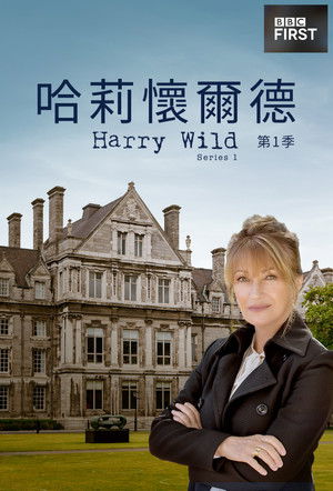 Harry Wild poszter