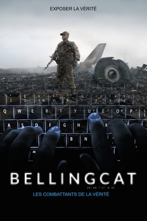 Bellingcat: Truth in a Post-Truth World poszter