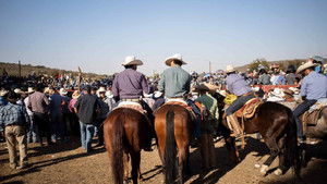 Jaripeo háttérkép