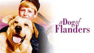 A Dog of Flanders háttérkép