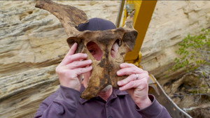 Mystery at Blind Frog Ranch 3. évad Ep.3 3. epizód