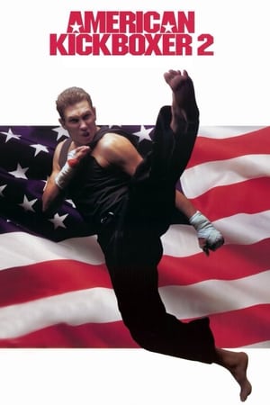 Amerikai kickboxer 2. poszter