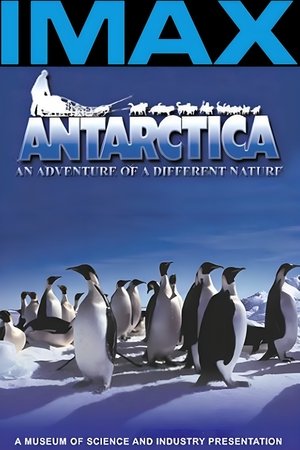 IMAX - Antarktisz, az elfeledett kontinens