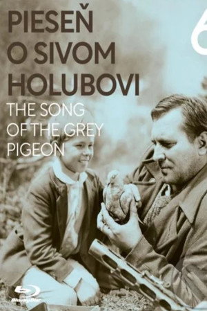 Pieseň o sivom holubovi poszter