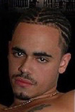 Latin Stallion