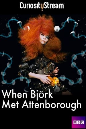 When Björk Met Attenborough poszter