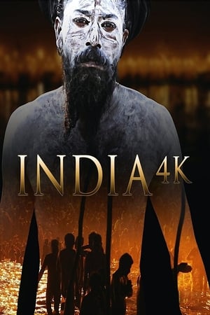 India 4K poszter