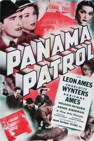 Panama Patrol poszter