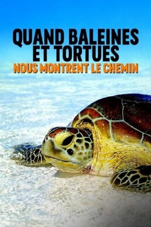 Quand baleines et tortues nous montrent le chemin poszter