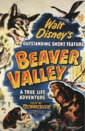 Beaver Valley poszter