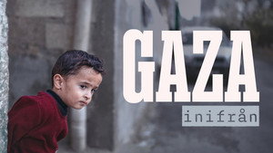 Kill Zone: Inside Gaza háttérkép