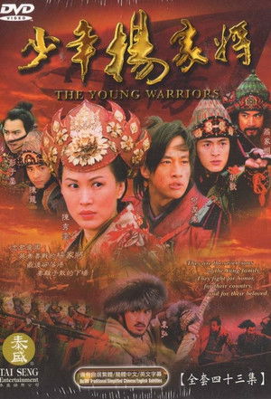 少年杨家将 poszter