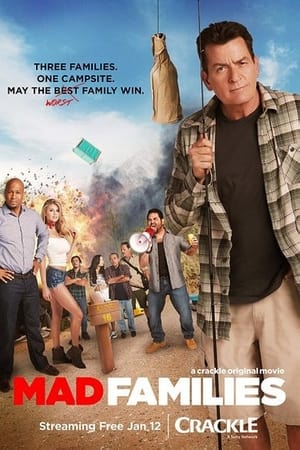 Mad Families poszter