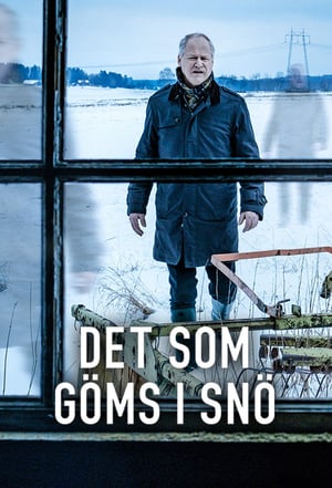 Skjult av snø