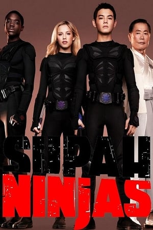 Supah Ninjas poszter