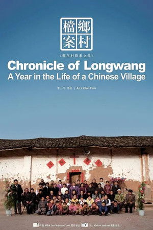 乡村档案：龙王村2006影像文件 poszter