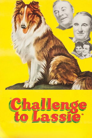 Challenge to Lassie poszter