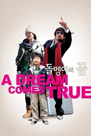 돌멩이의 꿈 poszter