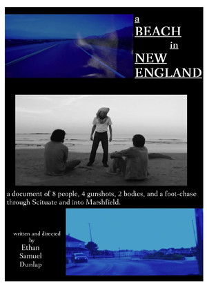 A Beach in New England poszter