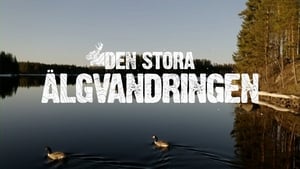 Den stora älgvandringen Specials Ep.3 3. epizód