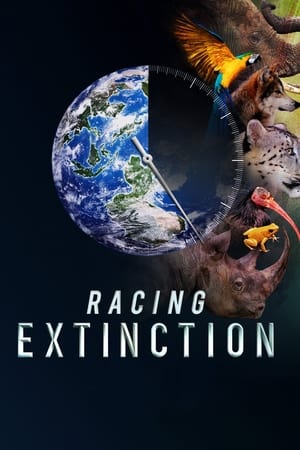 Racing Extinction - A kihalás kora