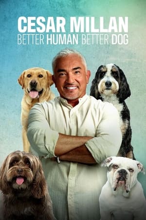 Cesar Millan: Jó gazdi, jó kutya