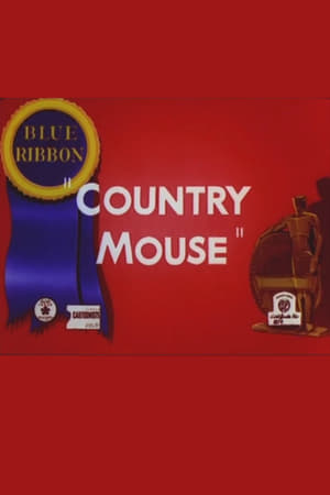 Country Mouse poszter