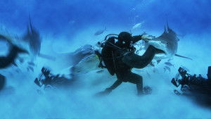 Man vs. Shark háttérkép