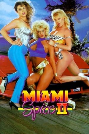 Miami Spice II poszter