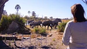 In the Footsteps of Elephant háttérkép