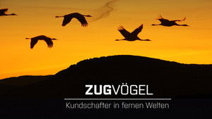 Zugvögel - Kundschafter in fernen Welten háttérkép