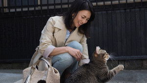 ねことじいちゃん háttérkép