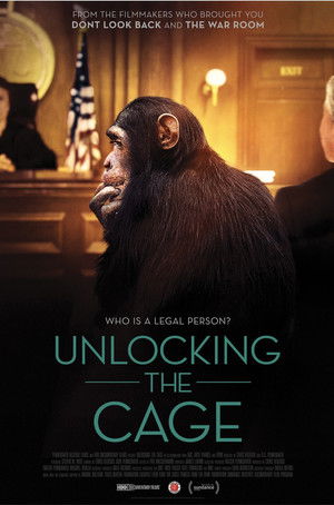 Unlocking the Cage poszter