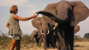 A Life Among Elephants háttérkép