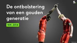 WK 2014: De ontbolstering van een gouden generatie bij de Rode Duivels háttérkép