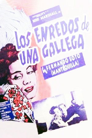 Los enredos de una gallega poszter