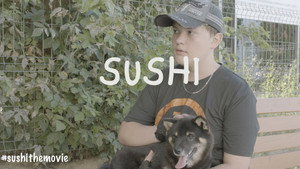 Sushi háttérkép