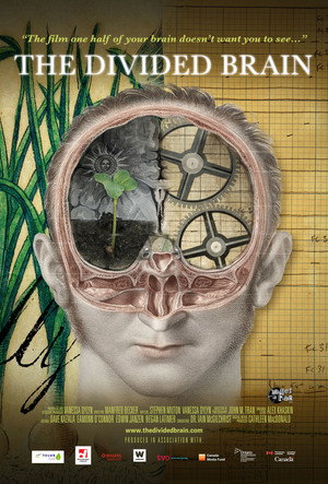 The Divided Brain poszter