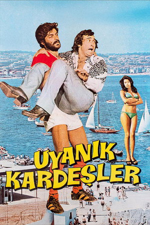 Uyanık Kardeşler poszter