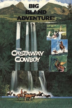 A partra vetett cowboy poszter