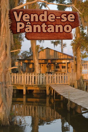 Buying the Bayou poszter