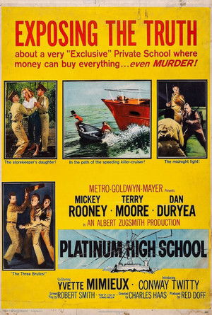 Platinum High School poszter