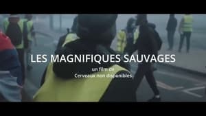 Les Magnifiques sauvages háttérkép