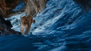 The Wild Ones 1. évad Ep.4 Leopárdok