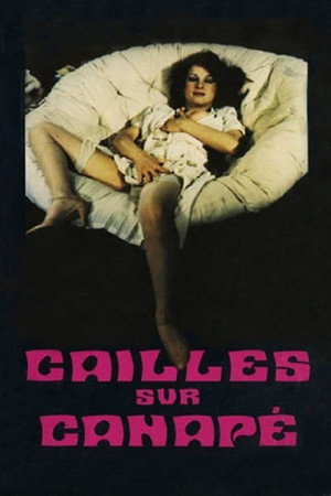Cailles sur canapé poszter