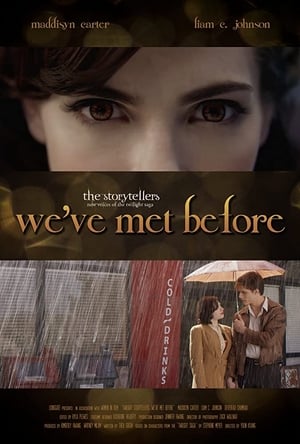 Twilight Storytellers: We've Met Before